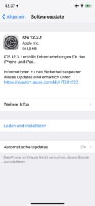 iOS 12.3.1