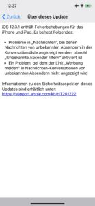 iOS 12.3.1